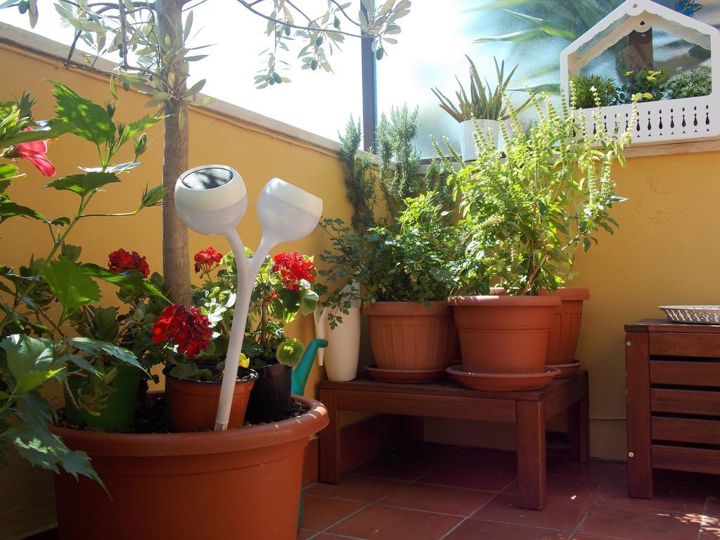 B&B Dei Cavalieri Πίζα Εξωτερικό φωτογραφία