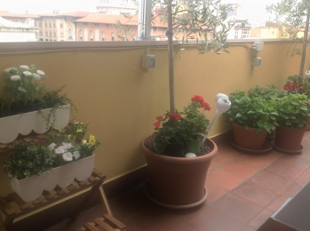 B&B Dei Cavalieri Πίζα Εξωτερικό φωτογραφία